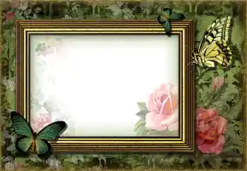 श्रेणी से फ़ोटो प्रभाव विभिन्न № 203270