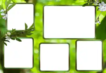 श्रेणी से फ़ोटो प्रभाव विभिन्न № 205353