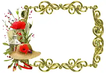 श्रेणी से फ़ोटो प्रभाव विभिन्न № 205358