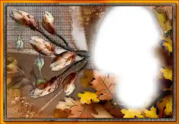 श्रेणी से फ़ोटो प्रभाव विभिन्न № 205533 श्रेणी से फ़ोटो प्रभाव विभिन्न № 205533