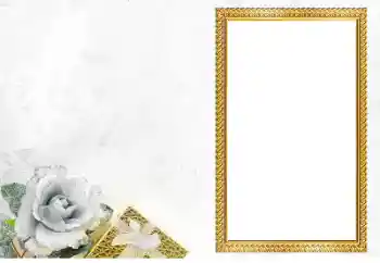 श्रेणी से फ़ोटो प्रभाव विभिन्न № 205560