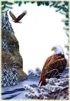 श्रेणी से फ़ोटो प्रभाव विभिन्न № 205592