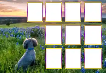 श्रेणी से फ़ोटो प्रभाव विभिन्न № 205604