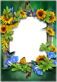 श्रेणी से फ़ोटो प्रभाव विभिन्न № 205611