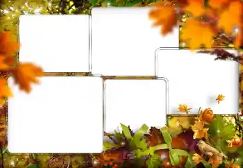 श्रेणी से फ़ोटो प्रभाव विभिन्न № 205794 श्रेणी से फ़ोटो प्रभाव विभिन्न № 205794