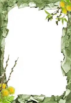 श्रेणी से फ़ोटो प्रभाव विभिन्न № 205798