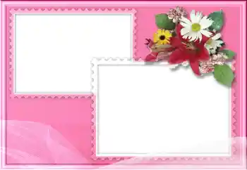 श्रेणी से फ़ोटो प्रभाव विभिन्न № 205976