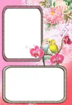 श्रेणी से फ़ोटो प्रभाव विभिन्न № 24272