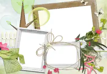 श्रेणी से फ़ोटो प्रभाव विभिन्न № 24280