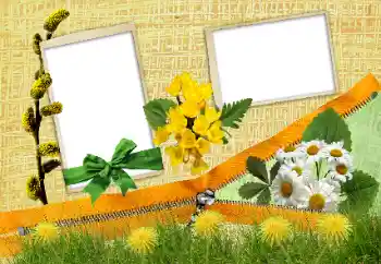 श्रेणी से फ़ोटो प्रभाव विभिन्न № 24285