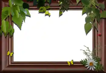 श्रेणी से फ़ोटो प्रभाव विभिन्न № 24288