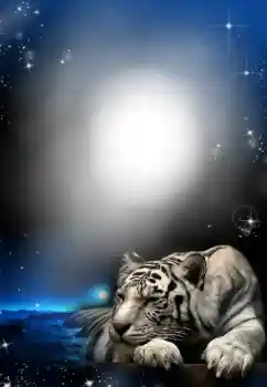 श्रेणी से फ़ोटो प्रभाव विभिन्न № 24304