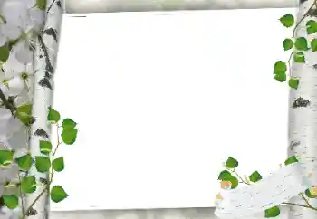 श्रेणी से फ़ोटो प्रभाव विभिन्न № 24319