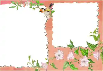 श्रेणी से फ़ोटो प्रभाव विभिन्न № 24418