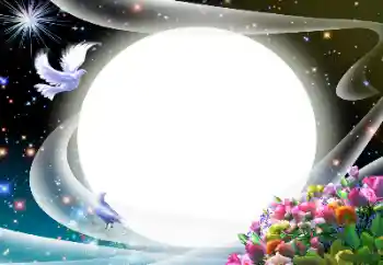 श्रेणी से फ़ोटो प्रभाव विभिन्न № 24510