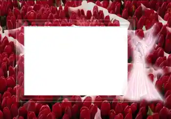 श्रेणी से फ़ोटो प्रभाव विभिन्न № 2452