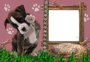 श्रेणी से फ़ोटो प्रभाव विभिन्न № 24550