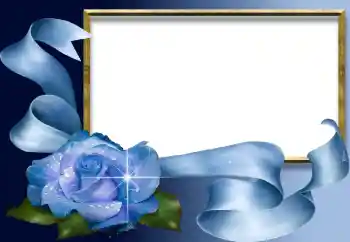 श्रेणी से फ़ोटो प्रभाव विभिन्न № 2455