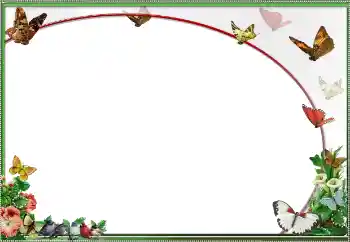 श्रेणी से फ़ोटो प्रभाव विभिन्न № 25484