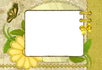 श्रेणी से फ़ोटो प्रभाव विभिन्न № 26523