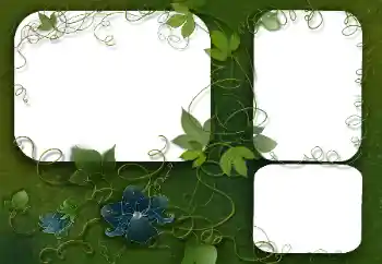 श्रेणी से फ़ोटो प्रभाव विभिन्न № 26526