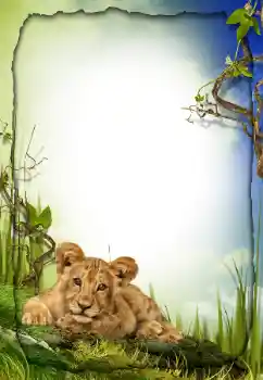 श्रेणी से फ़ोटो प्रभाव विभिन्न № 26572