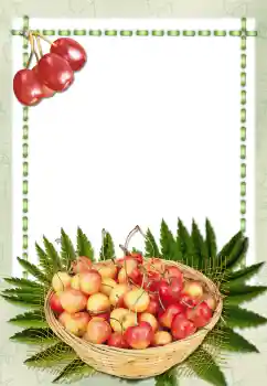 श्रेणी से फ़ोटो प्रभाव विभिन्न № 2657