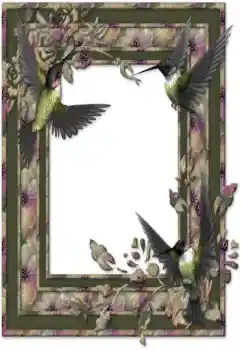 श्रेणी से फ़ोटो प्रभाव विभिन्न № 26588