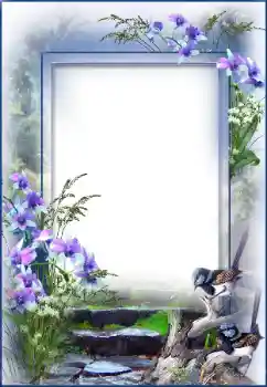 श्रेणी से फ़ोटो प्रभाव विभिन्न № 27695