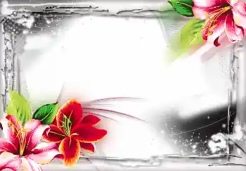 श्रेणी से फ़ोटो प्रभाव विभिन्न № 2804