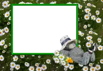 श्रेणी से फ़ोटो प्रभाव विभिन्न № 2893