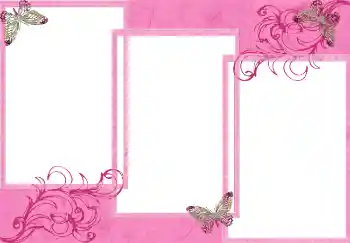 श्रेणी से फ़ोटो प्रभाव विभिन्न № 2916