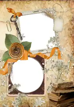 श्रेणी से फ़ोटो प्रभाव विभिन्न № 33766