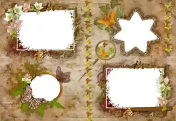 श्रेणी से फ़ोटो प्रभाव विभिन्न № 33900