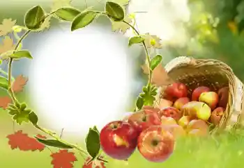 श्रेणी से फ़ोटो प्रभाव विभिन्न № 34029