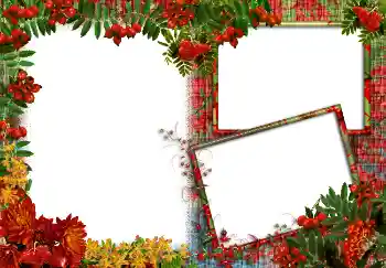 श्रेणी से फ़ोटो प्रभाव विभिन्न № 3413