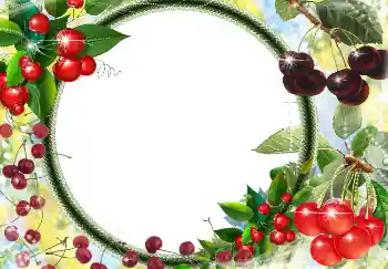 श्रेणी से फ़ोटो प्रभाव विभिन्न № 3416