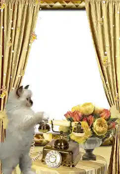 श्रेणी से फ़ोटो प्रभाव विभिन्न № 3419