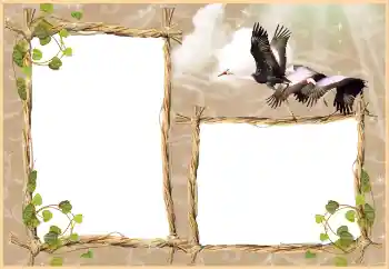 श्रेणी से फ़ोटो प्रभाव विभिन्न № 3430