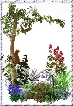 श्रेणी से फ़ोटो प्रभाव विभिन्न № 34798