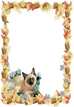 श्रेणी से फ़ोटो प्रभाव विभिन्न № 34851