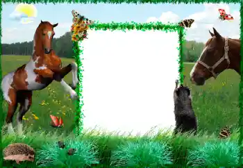 श्रेणी से फ़ोटो प्रभाव विभिन्न № 34915