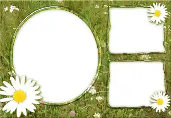 श्रेणी से फ़ोटो प्रभाव विभिन्न № 34932