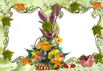 श्रेणी से फ़ोटो प्रभाव विभिन्न № 36278