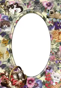 श्रेणी से फ़ोटो प्रभाव विभिन्न № 3702