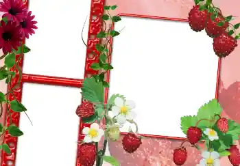 श्रेणी से फ़ोटो प्रभाव विभिन्न № 3703