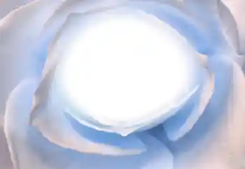 श्रेणी से फ़ोटो प्रभाव विभिन्न № 38328