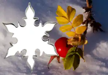 श्रेणी से फ़ोटो प्रभाव विभिन्न № 38548