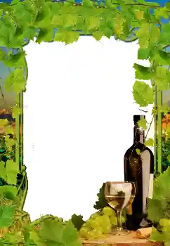 श्रेणी से फ़ोटो प्रभाव विभिन्न № 38598