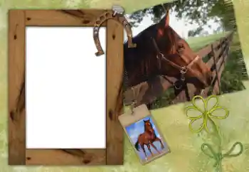 श्रेणी से फ़ोटो प्रभाव विभिन्न № 38802